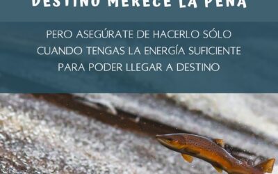 Nuestro consejo…